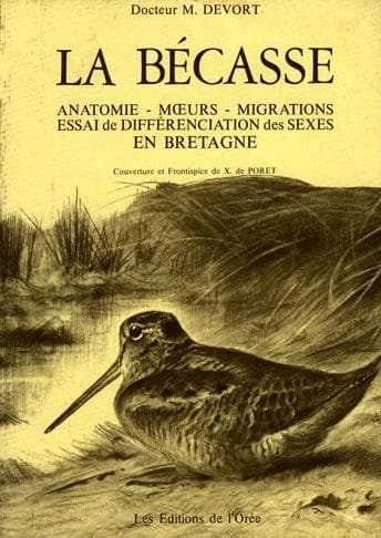 La becasse