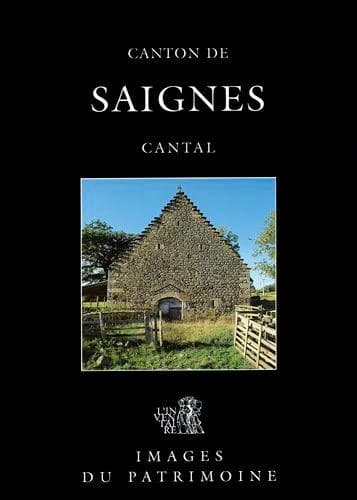 Canton de Saignes, Cantal