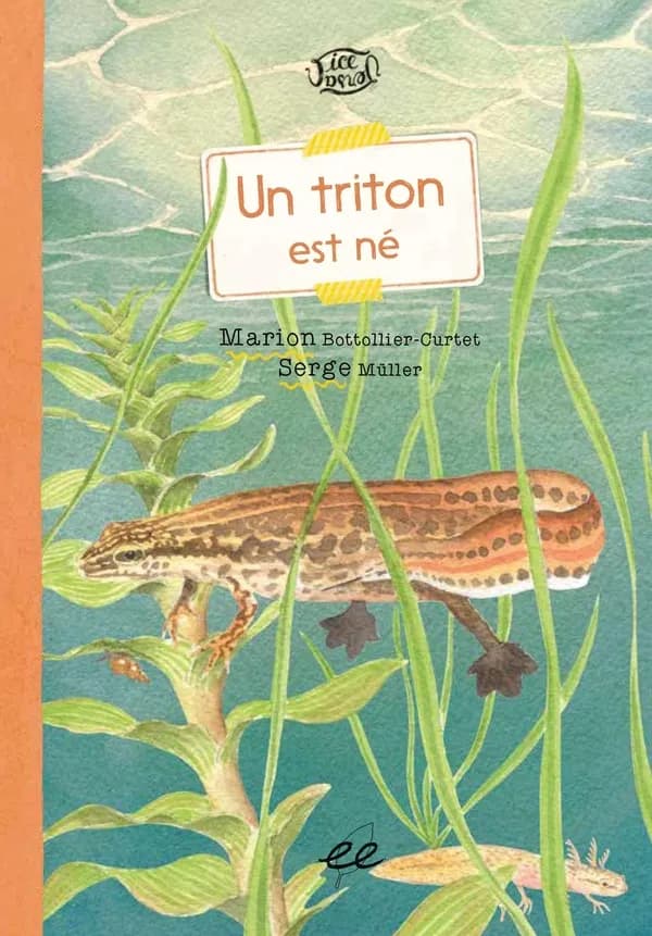 Un triton est né ; [suivi de] Dans une mare : une histoire racontée par le professeur E. Zillère
