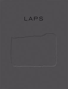 Laps, Latifa Echakhch : [exposition, Lyon, Musée d'art contemporain de Lyon, 15 février-14 avril 2013]