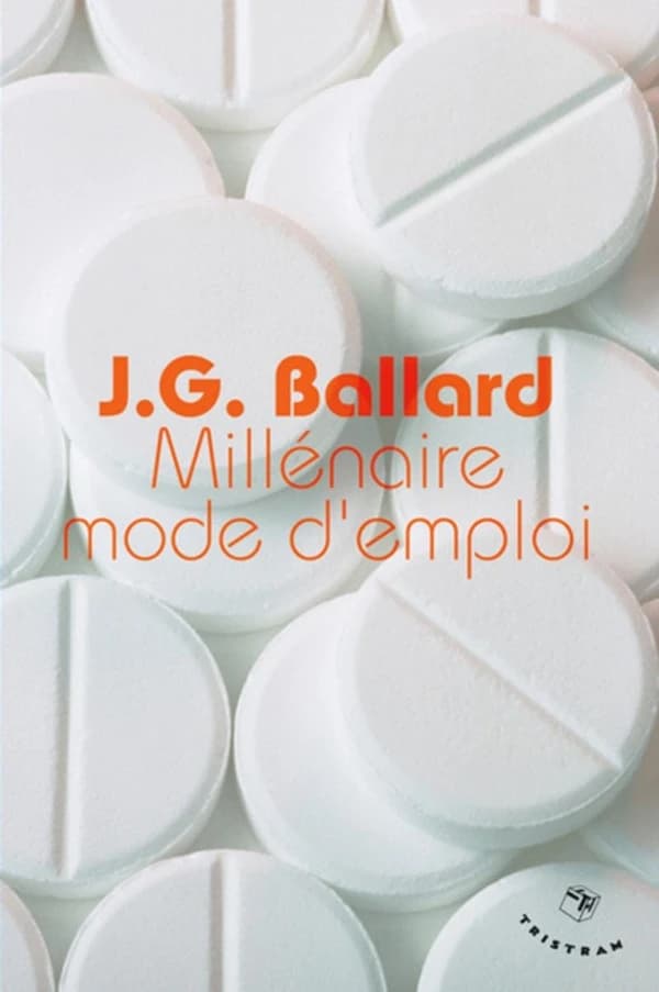 Millénaire mode d'emploi : essais et critiques