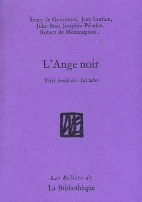 L'ange noir : petit traité des succubes