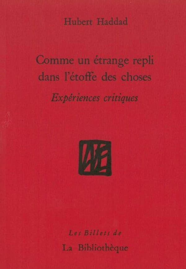 Comme un étrange repli dans l'étoffe des choses : expériences critiques