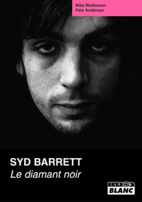 Syd Barrett : le diamant noir
