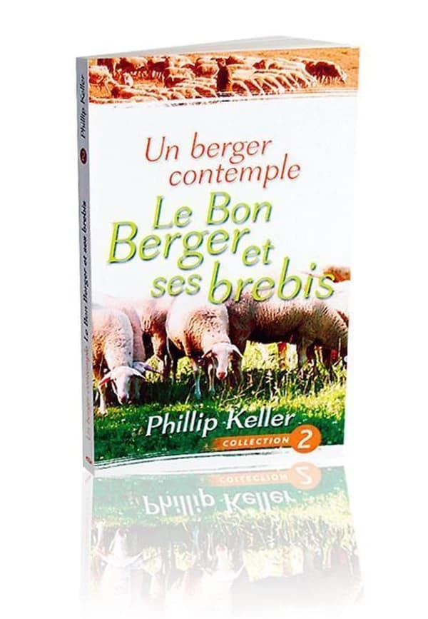 Un berger contemple le Bon Berger et ses brebis