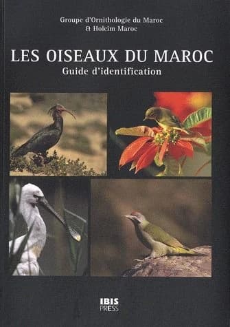 Les oiseaux du Maroc : guide d' identification