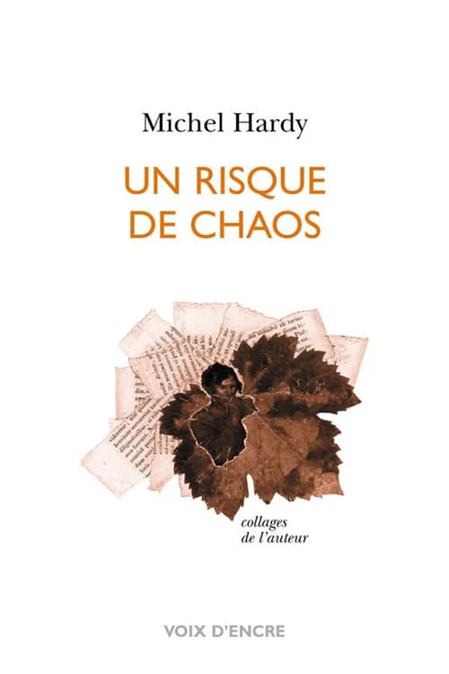 Un risque de chaos
