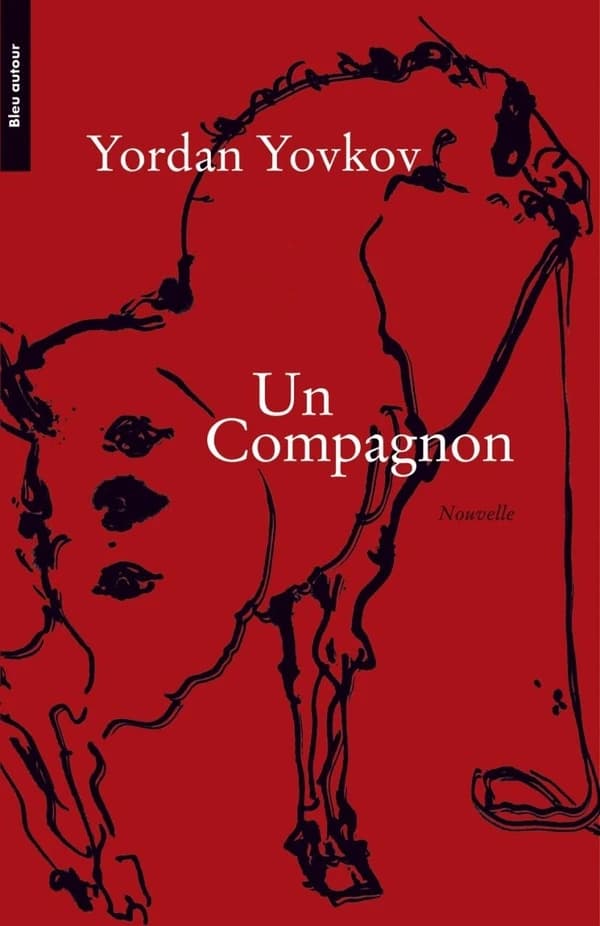 Un compagnon : nouvelle