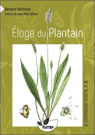 éloge du plantain
