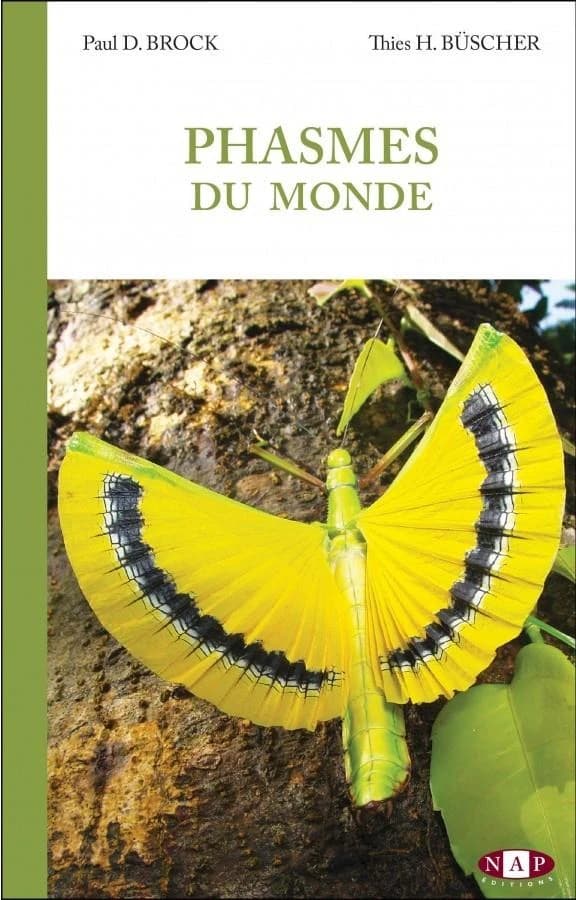 Phasmes du monde