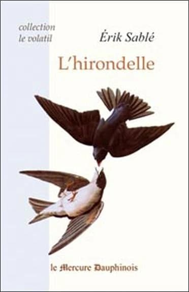 L'hirondelle et le martinet