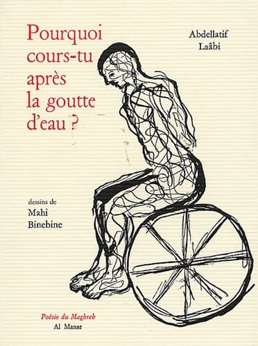 Pourquoi cours-tu après la goutte d'eau ? : prosoèmes