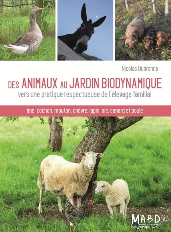Des animaux au jardin biodynamique : vers une pratique respectueuse de l'élevage familial