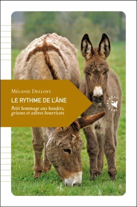 Le rythme de l'âne : petit hommage aux baudets, grisons et autres bourricots