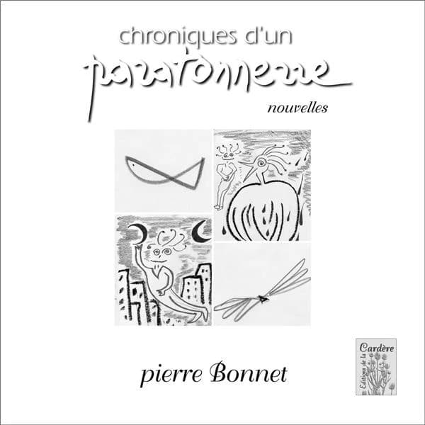 Chroniques d'un paratonnerre : nouvelles