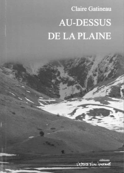 Au-dessus de la plaine : (Mont-Dauphin, Villeneuve-lès-Avignon, Bruxelles 2006)