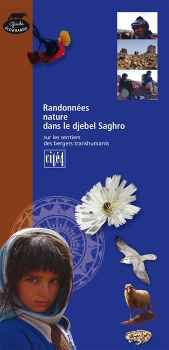 Randonnée nature dans le Djebel Saghro : sur les sentiers des bergers transhumants