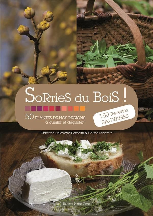 Sorties du bois ! : 50 plantes de nos régions à cueillir et déguster ! : 150 recettes sauvages