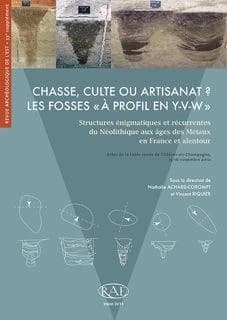 Chasse, culte ou artisanat ? : les fosses à profil en Y-V-W : structures énigmatiques et récurrentes du Néolithique aux âges des métaux en France et alentour : actes de la table ronde de Châlons-en-Champagne, 15-16 novembre 2010