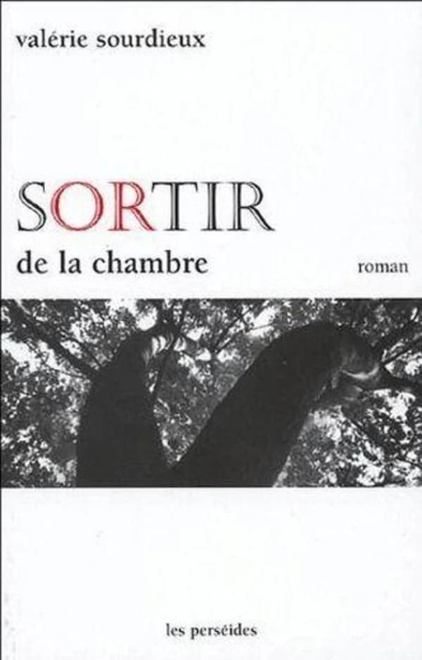 Sortir de la chambre : roman