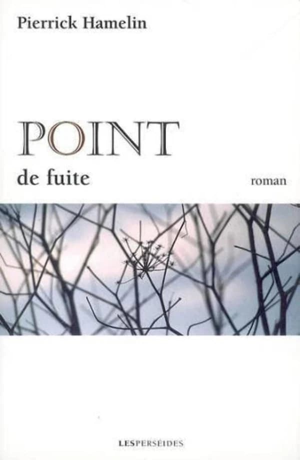 Point de fuite : roman