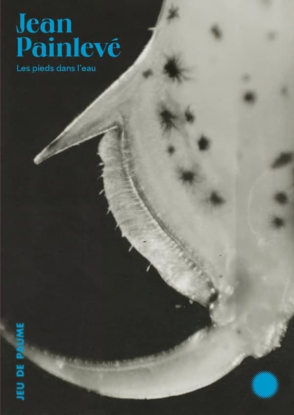 Jean Painlevé, Les pieds dans l'eau : [album de l'exposition, Paris, Jeu de paume, 8 juin-18 septembre 2022]