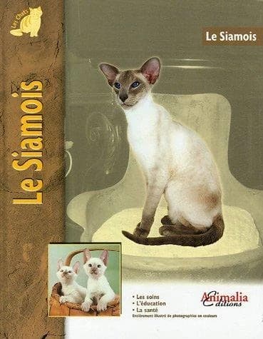 Le siamois