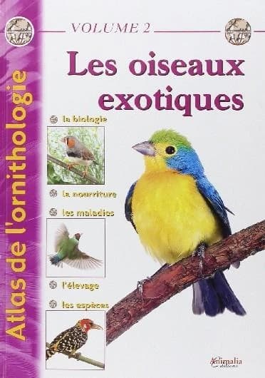 Les oiseaux exotiques