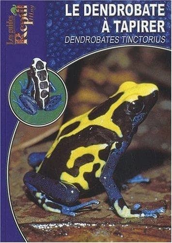 Le dendrobate à tapirer : Dendrobates tinctorius