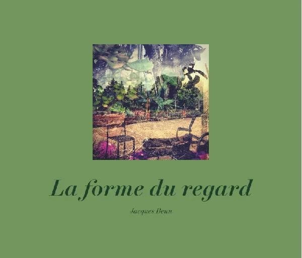 La forme du regard