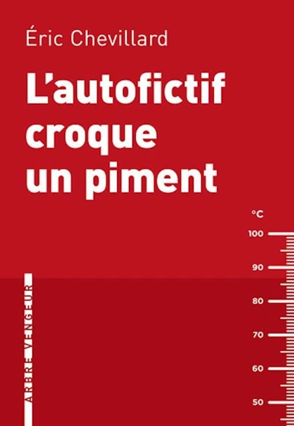 L'autofictif croque un piment : Journal 2011-2012