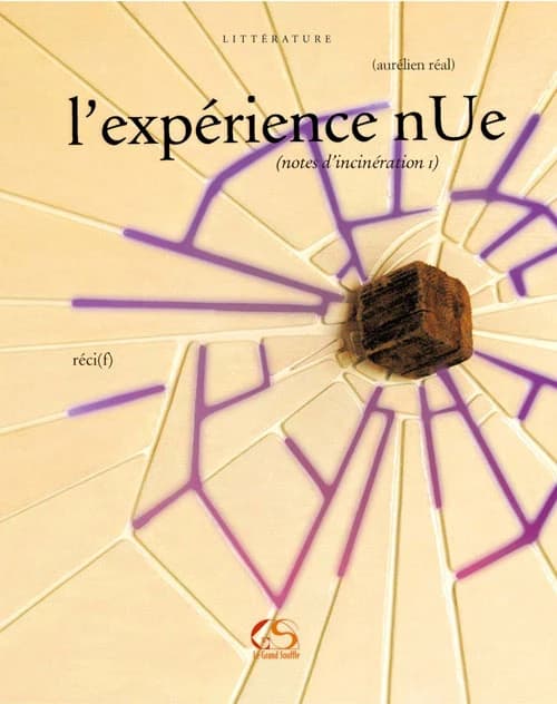 L'expérience nue : notes d'incinération