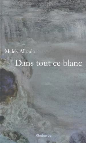 Dans tout ce blanc : écrits de Berlin