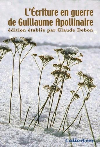 L'écriture en guerre de Guillaume Apollinaire : actes du XIXe colloque international de Stavelot : 1er, 2 et 3 septembre 2005