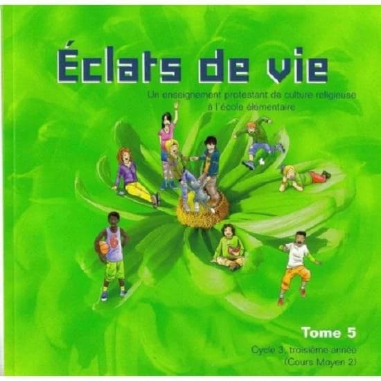 Éclats de vie : un enseignement protestant de culture religieuse à l'école élémentaire. Tome 5, Cycle 3, troisième année, cours moyen 2