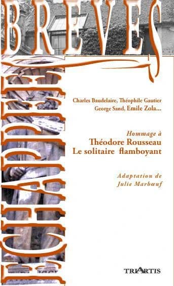 Théodore Rousseau, le solitaire flamboyant : Charles Baudelaire, Théophile Gautier, George Sand, Émile Zola