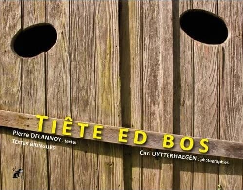 Tiête ed bos : textes et nouvelles