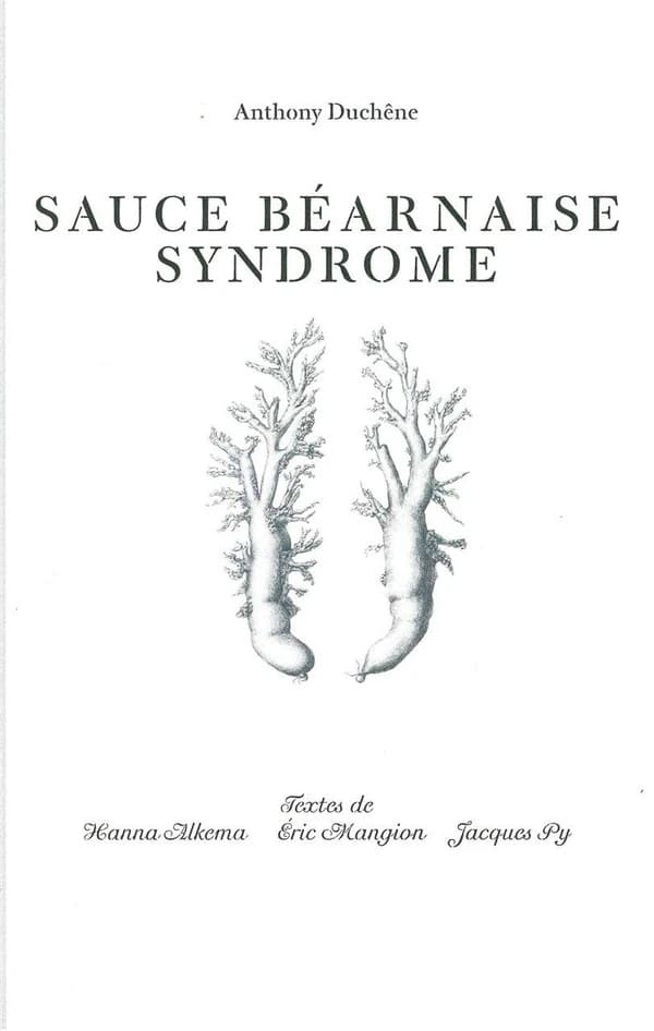 Antony Duchêne, Sauce béarnaise syndrome : [exposition, Vézelay, Maison Zervos de la Goulotte, 6 juillet-1er septembre 2013]