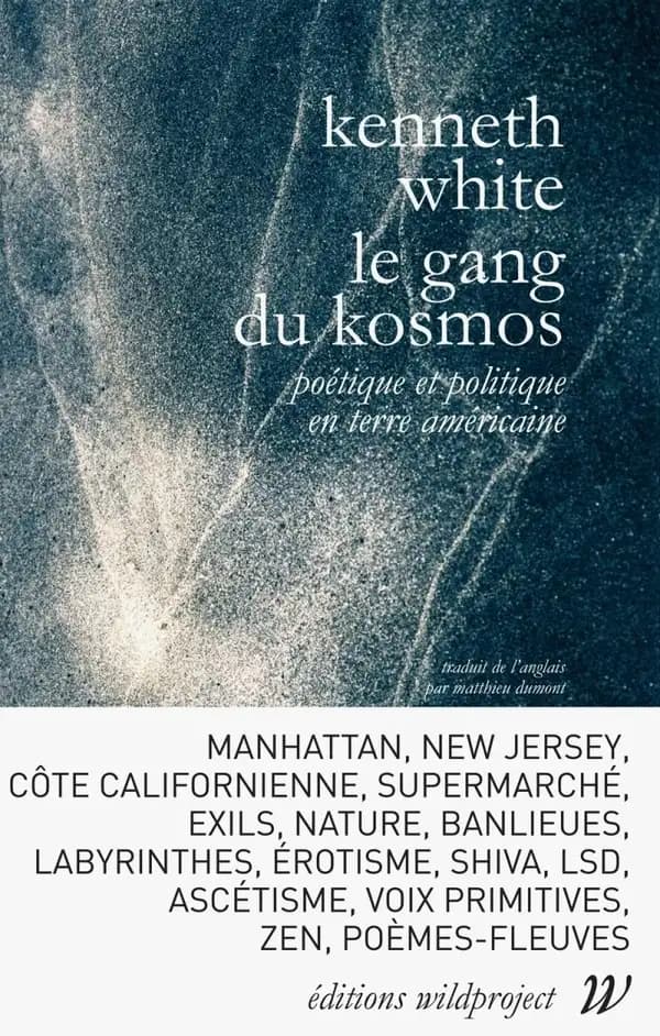 Le gang du kosmos : poétique et politique en terre américaine