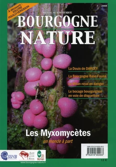 REVUE SCIENTIFIQUE BOURGOGNE-NATURE n.7 : les Myxomycètes ; un monde à part (édition 2009)