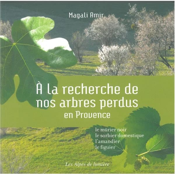 À la recherche de nos arbres perdus en Provence : le mûrier noir, le sorbier domestique, l'amandier, le figuier