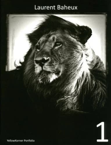 Laurent Baheux
