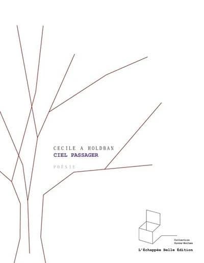 Ciel passager : poèmes, 2010-2011 : poésie