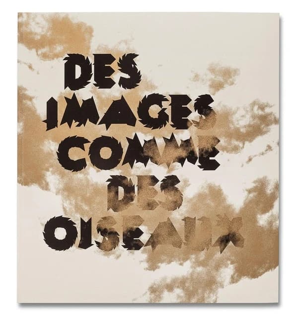 Des images comme des oiseaux : [exposition, Marseille, La Friche de la Belle de mai, 6 juillet-29 septembre 2013]
