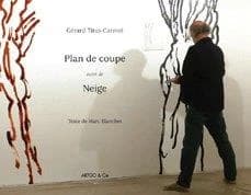 Plan de coupe : neige