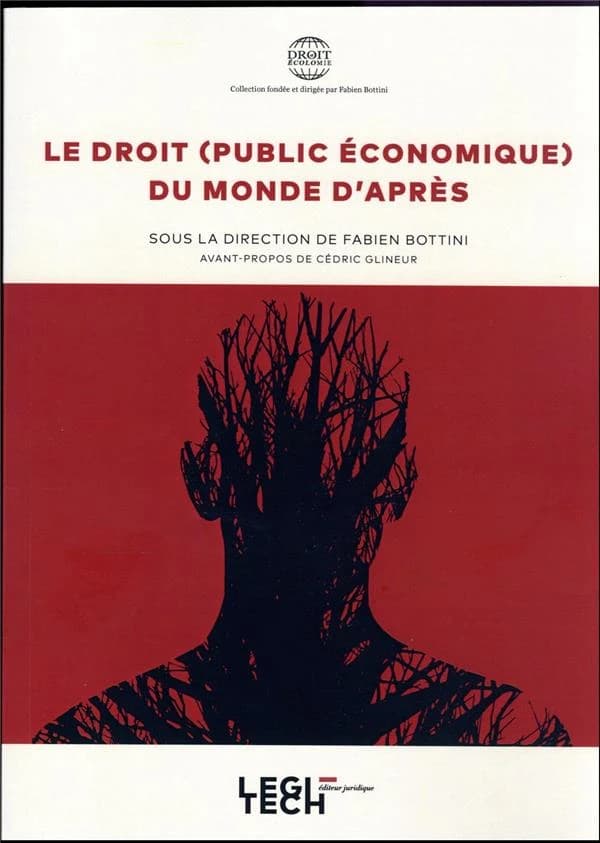 Le droit (public économique) du monde d'après