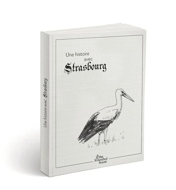 Une histoire avec Strasbourg : cigogne