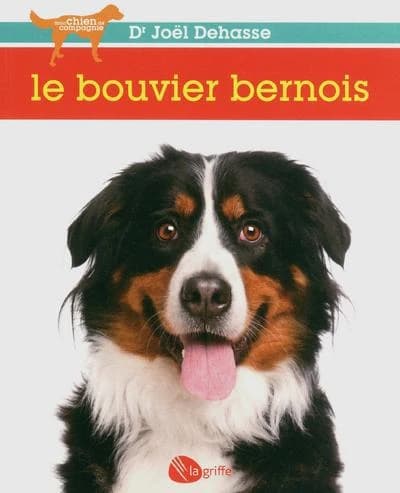 Le bouvier bernois