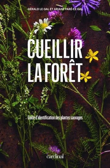 Cueillir la forêt : Guide d'identification des plantes sauvages