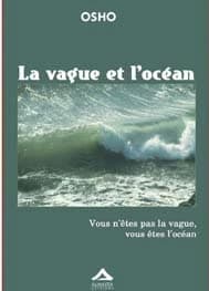 La vague et l'océan